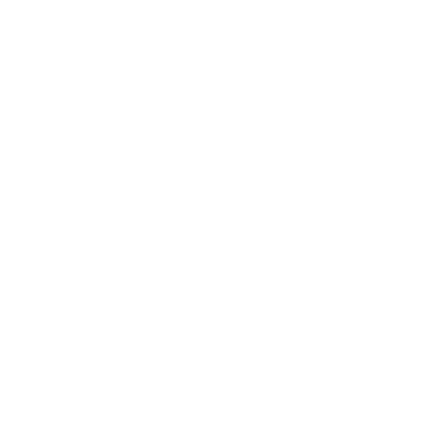 n4 (1)